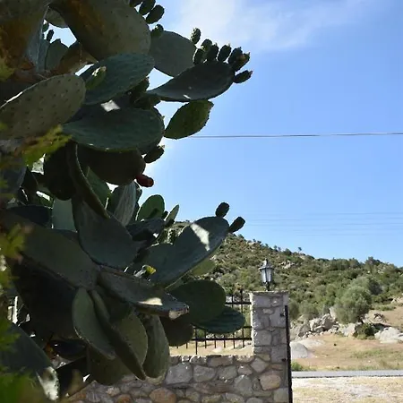 Athena's & Appartement *
