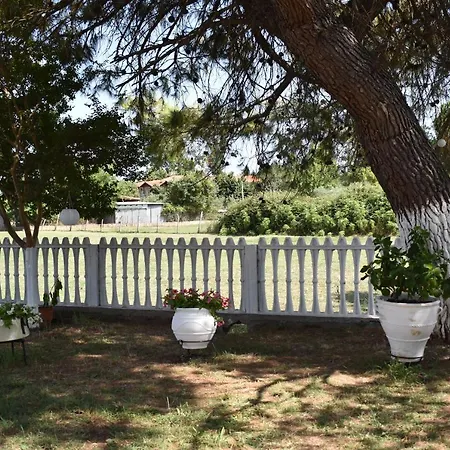 Athena's & 公寓 *