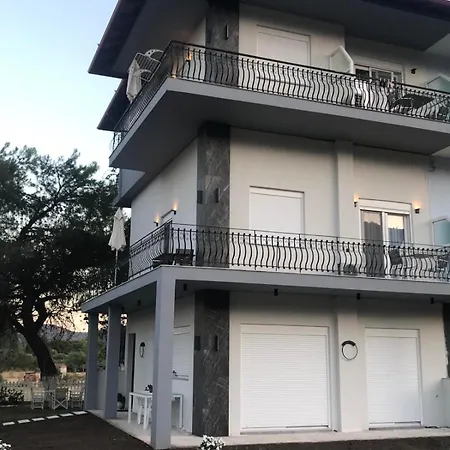 Athena's & * 锡基亚